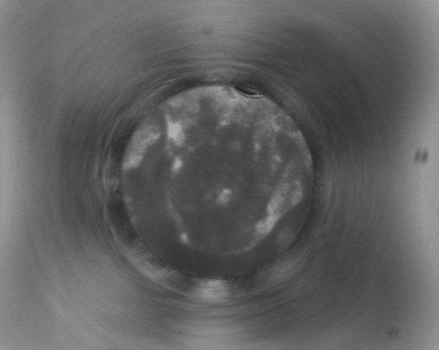 X0000113080091200909182100