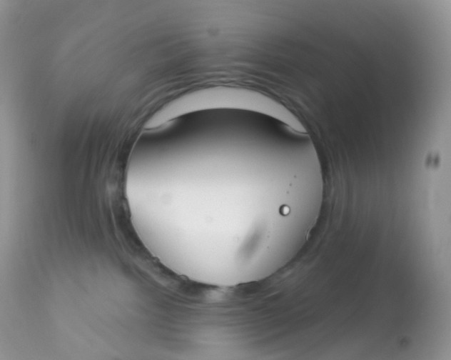 X0000113080092200909182100