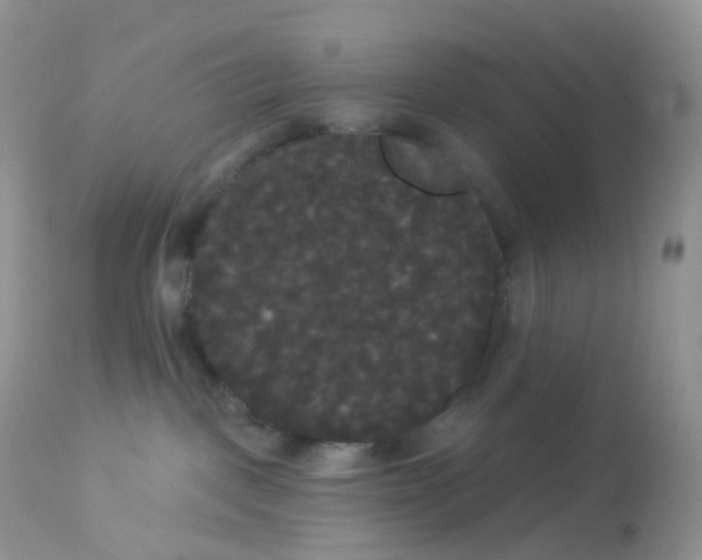 X0000113080093200909182100