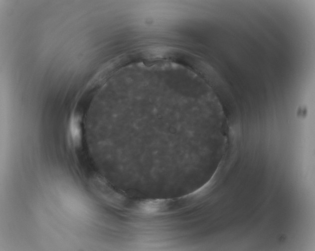 X0000113080094200909182100