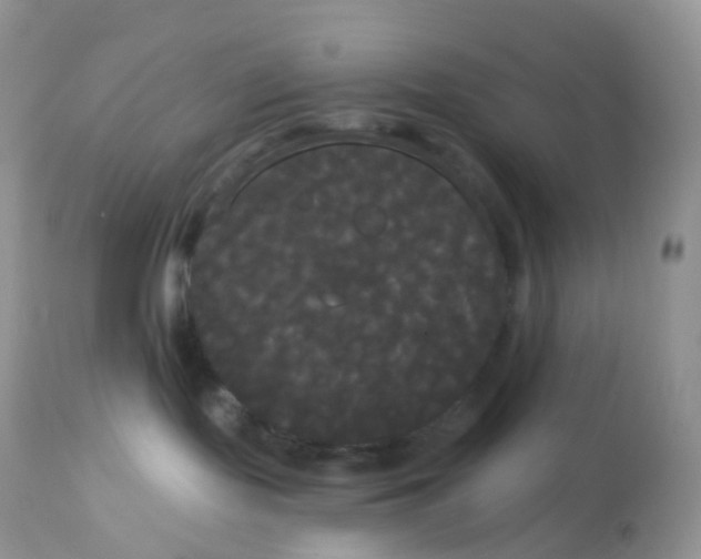 X0000113080095200909182100