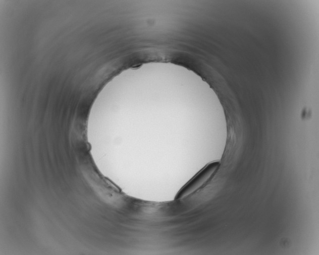 X0000113080096200909182100