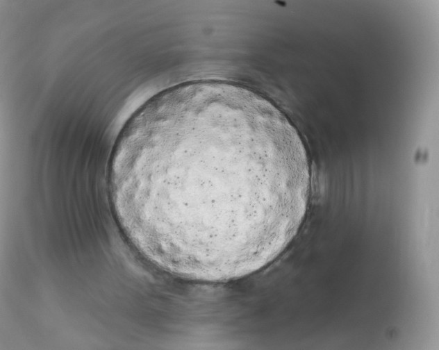 X0000113080099200909182059