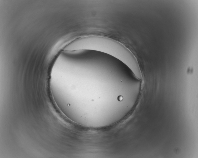 X0000113080101200909182059