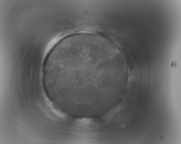X0000113080102200909182059