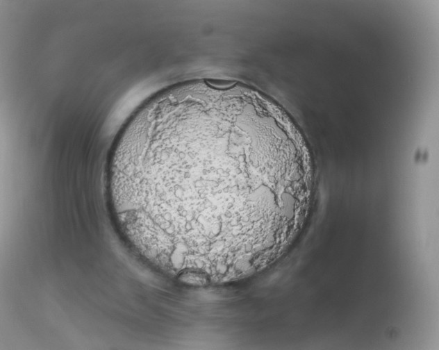 X0000113080103200909182059