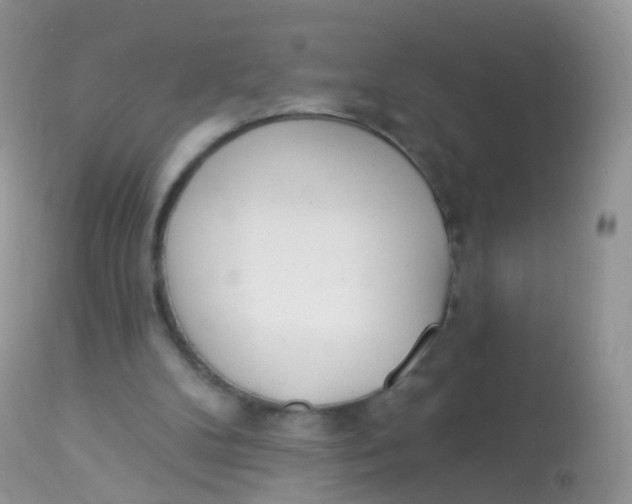 X0000113080104200909182059