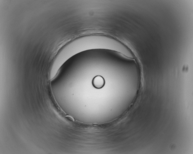 X0000113080105200909182059