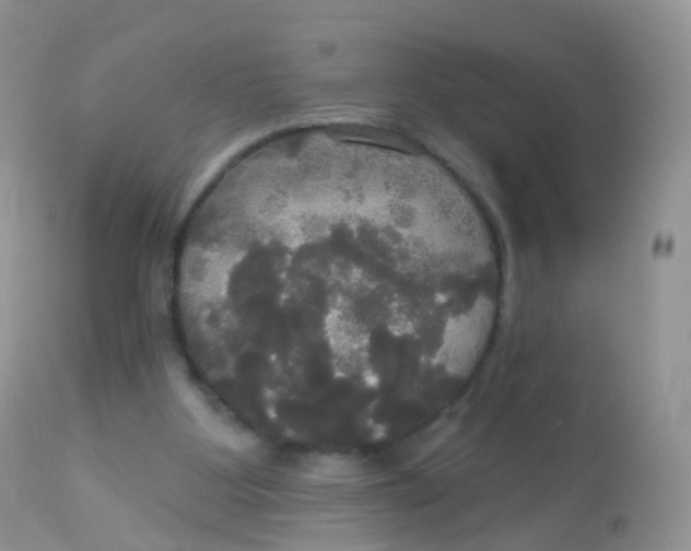 X0000113080107200909182059