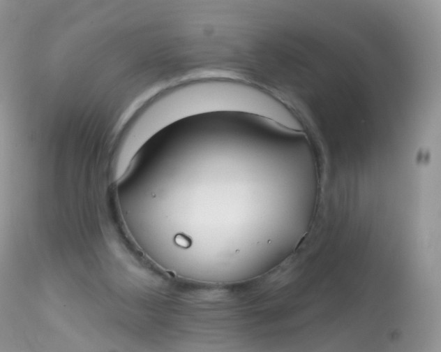 X0000113080108200909182059