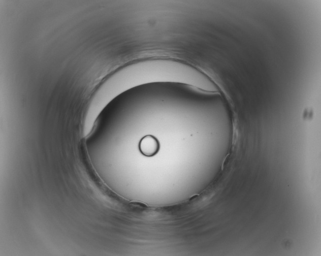 X0000113080109200909182059