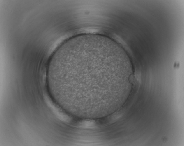 X0000113080110200909182059