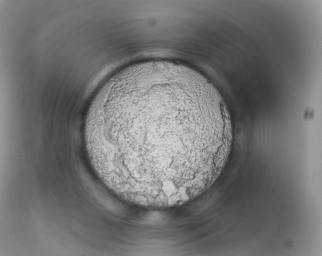 X0000113080111200909182059