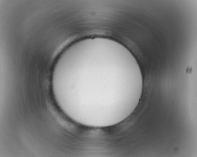X0000113080112200909182059