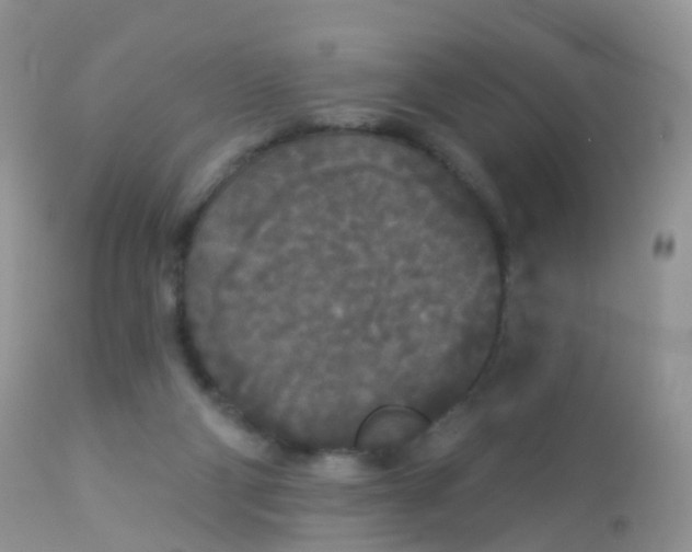 X0000113080114200909182059