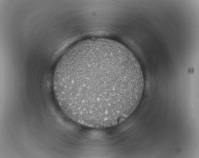X0000113080115200909182059