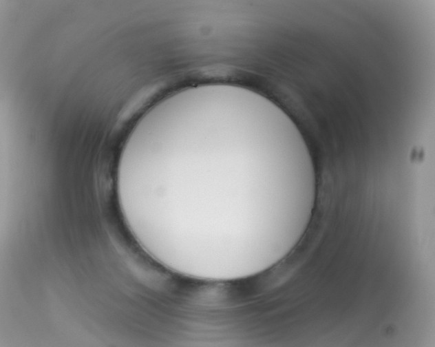 X0000113080116200909182059