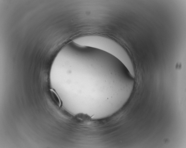 X0000113080117200909182059