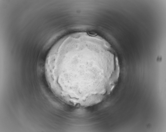 X0000113080119200909182059