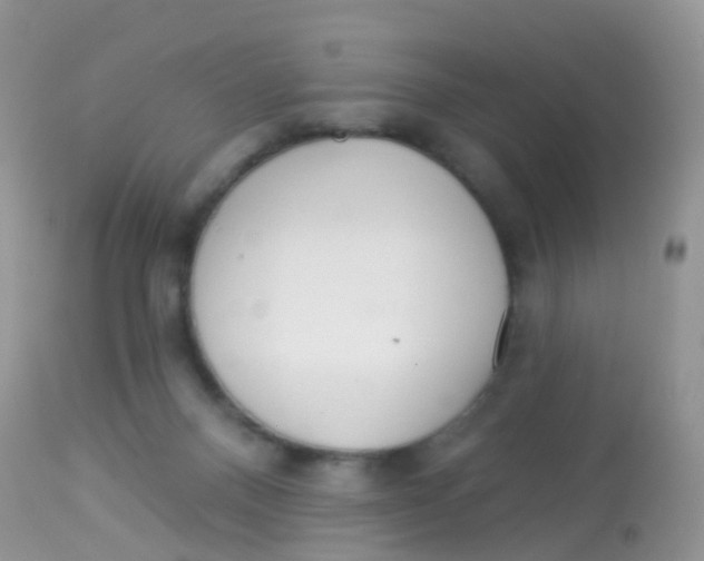 X0000113080120200909182059