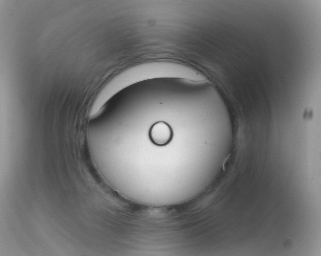 X0000113080121200909182059