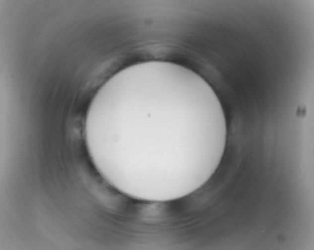 X0000113080122200909182059