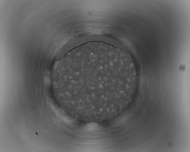 X0000113080123200909182059