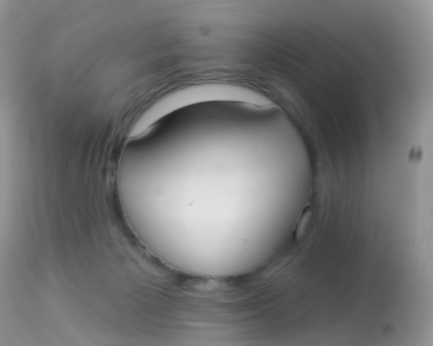 X0000113080125200909182059