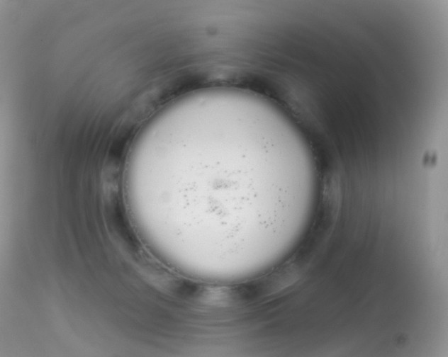 X0000113080127200909182059