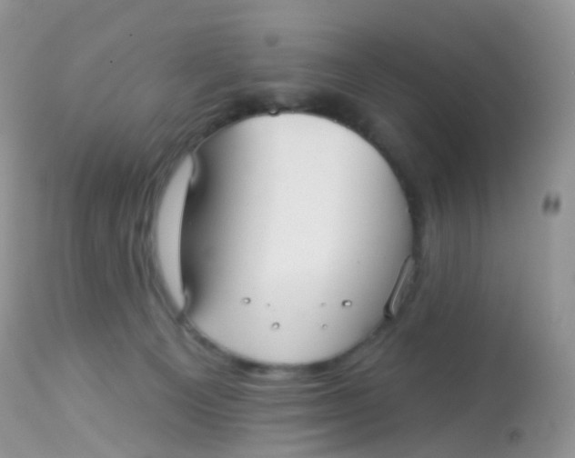 X0000113080129200909182059