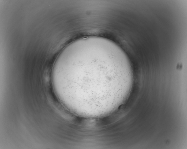 X0000113080131200909182059