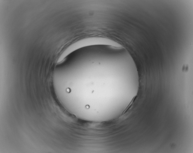 X0000113080132200909182059