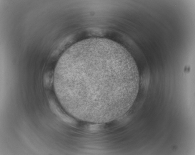 X0000113080134200909182059