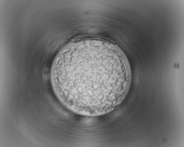 X0000113080135200909182059