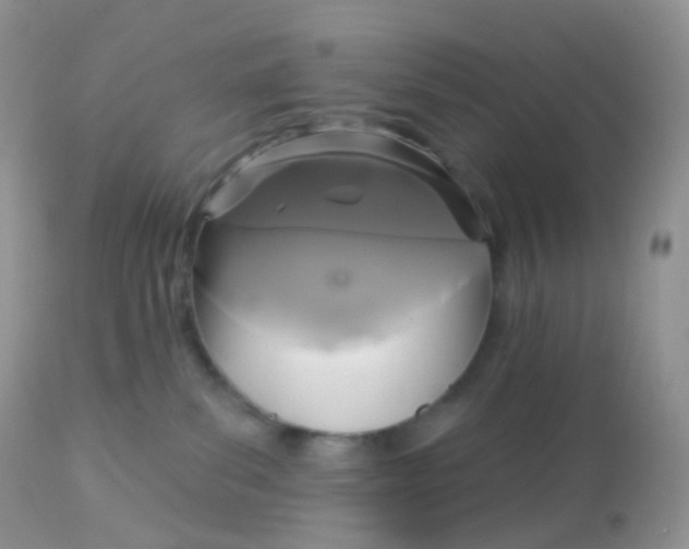 X0000113080139200909182058