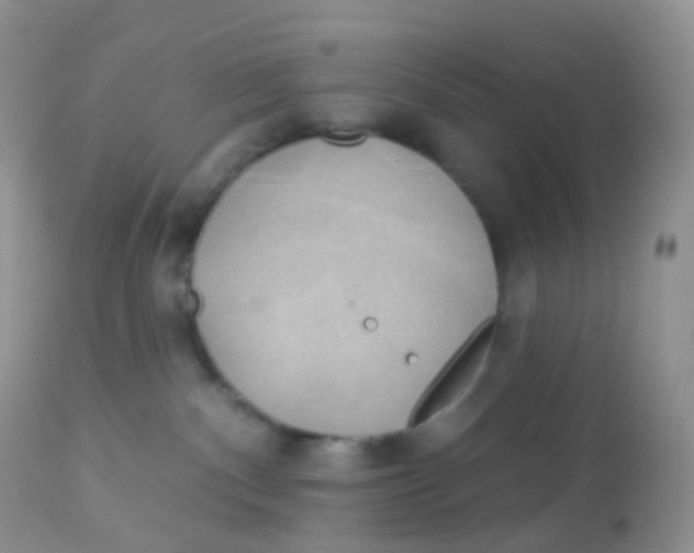 X0000113080140200909182058