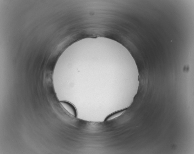 X0000113080141200909182058