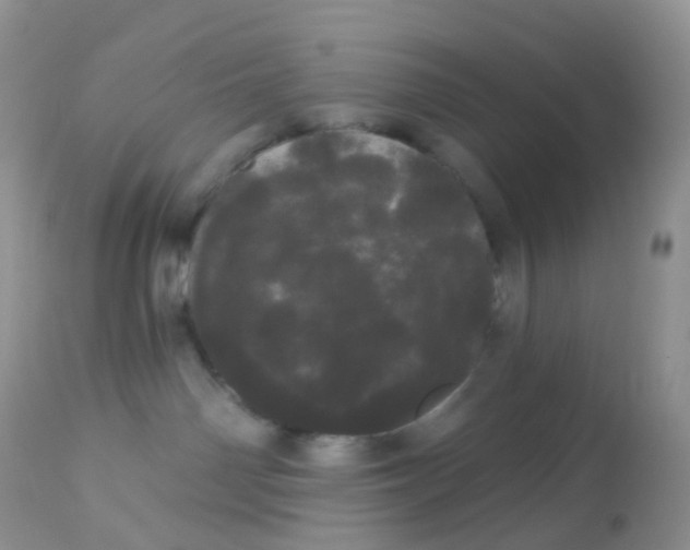 X0000113080142200909182058
