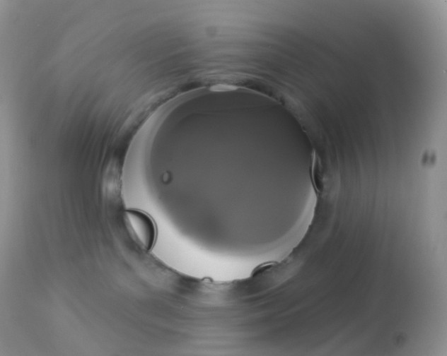 X0000113080143200909182058