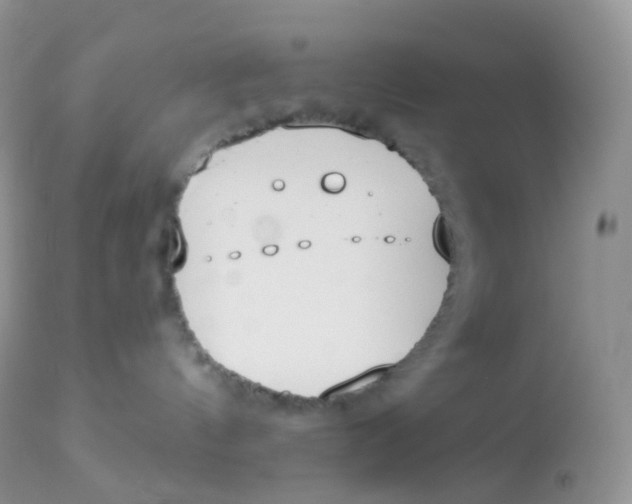 X0000113080144200909182058