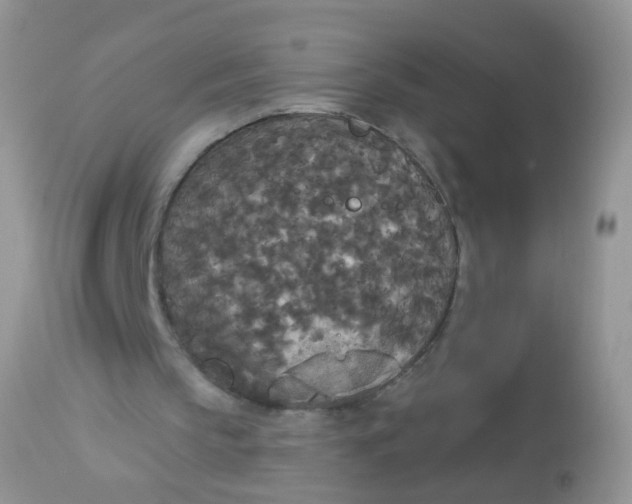 X0000113080145200909182057