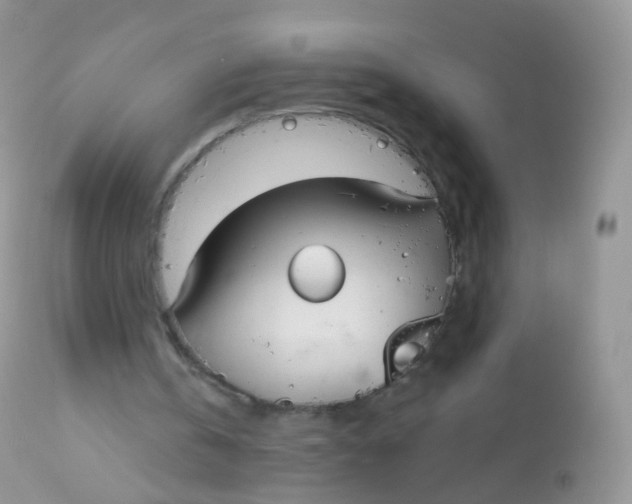 X0000113080146200909182057