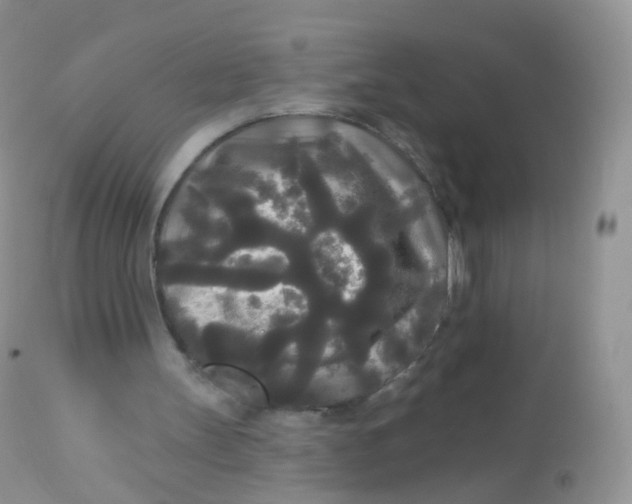 X0000113080147200909182057
