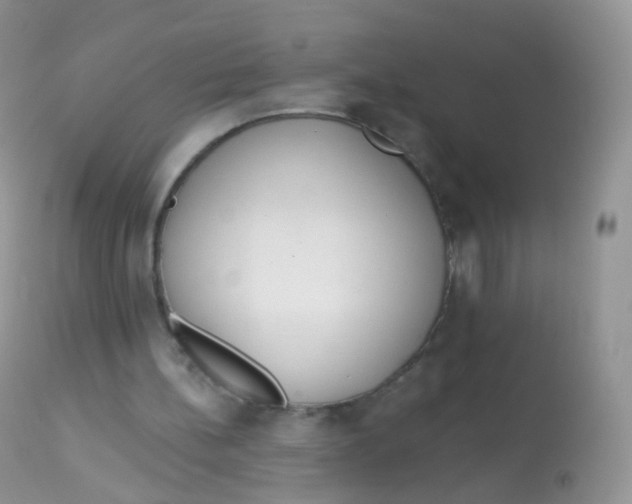X0000113080148200909182057