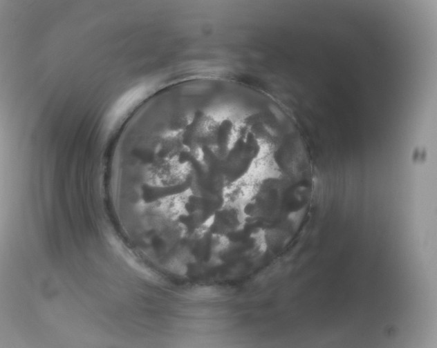 X0000113080149200909182057
