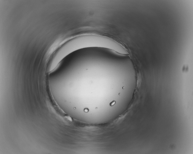 X0000113080150200909182057