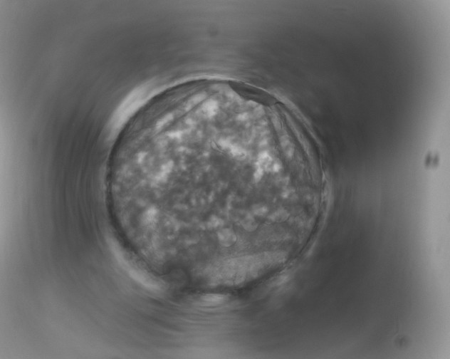 X0000113080151200909182057