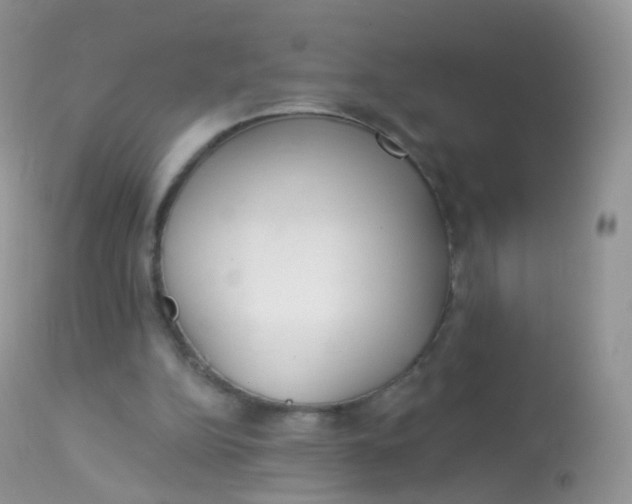 X0000113080152200909182058