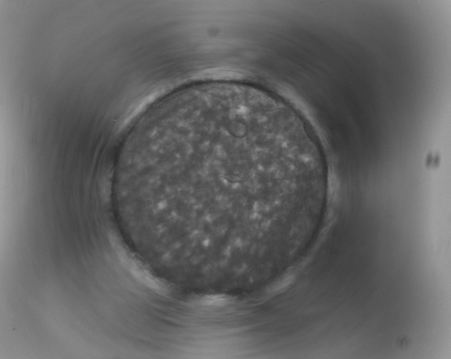 X0000113080153200909182058