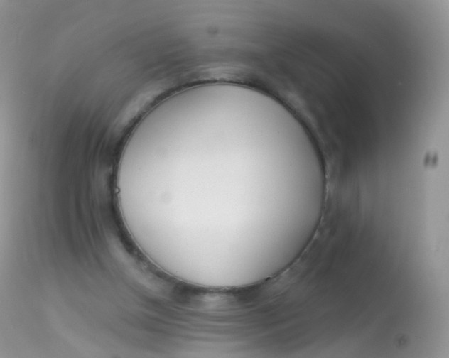 X0000113080154200909182058